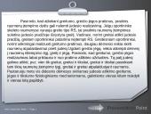 Greitumas — veiksniai, ugdymo metodika 11 puslapis