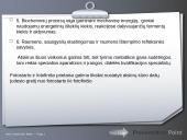 Greitumas — veiksniai, ugdymo metodika 13 puslapis