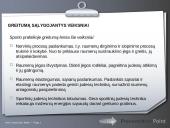 Greitumas — veiksniai, ugdymo metodika 16 puslapis