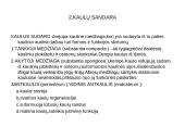 Griaučių sistema (systema skeletale) 4 puslapis