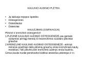 Griaučių sistema (systema skeletale) 6 puslapis