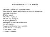 Griaučių sistema (systema skeletale) 7 puslapis