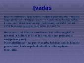 Klausos sutrikimas 3 puslapis