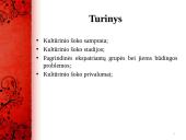 Kultūrinis šokas 2 puslapis