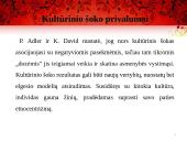 Kultūrinis šokas 17 puslapis