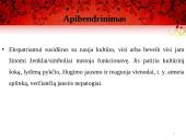 Kultūrinis šokas 18 puslapis