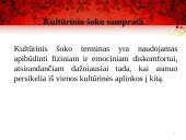 Kultūrinis šokas 4 puslapis