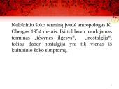 Kultūrinis šokas 6 puslapis