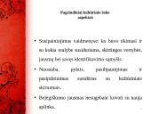 Kultūrinis šokas 8 puslapis