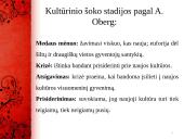 Kultūrinis šokas 10 puslapis