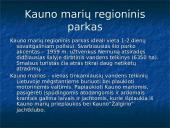 Lietuvos lankomiausios vietos 12 puslapis