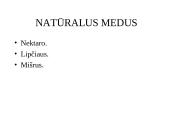 Maisto prekių klasifikacija 20 puslapis