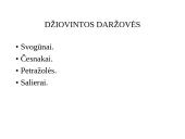 Maisto prekių klasifikacija 8 puslapis