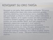 Oro tarša bei teršalai 16 puslapis