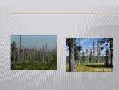 Oro tarša bei teršalai 20 puslapis