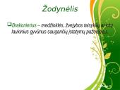 Pasaulio ūkis 11 puslapis