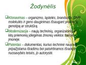 Pasaulio ūkis 17 puslapis