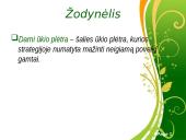 Pasaulio ūkis 19 puslapis