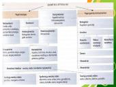 Pasaulio ūkis 10 puslapis