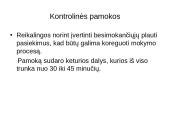 Plaukimo pratybos 7 puslapis