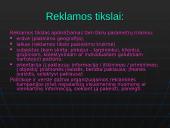 Reklama versle ir politikoje 3 puslapis