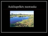 Samanos Lietuvoje 14 puslapis