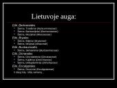 Samanos Lietuvoje 9 puslapis