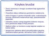 Sigito Gedos biografija 7 puslapis