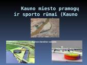 Sporto arenos 12 puslapis