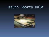 Sporto arenos 10 puslapis