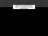 Šatrijos Ragana - biografija ir kūryba 8 puslapis