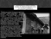 Šatrijos Ragana - biografija ir kūryba 10 puslapis