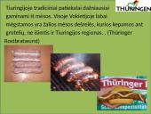 Tarptautinio turizmo sistemos analizė Vokietijos valstybėje, Tiuringijos regione 15 puslapis