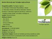 Tarptautinio turizmo sistemos analizė Vokietijos valstybėje, Tiuringijos regione 4 puslapis