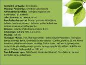 Tarptautinio turizmo sistemos analizė Vokietijos valstybėje, Tiuringijos regione 5 puslapis