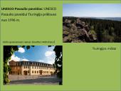 Tarptautinio turizmo sistemos analizė Vokietijos valstybėje, Tiuringijos regione 6 puslapis