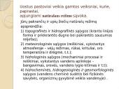 Laivybos uostai 13 puslapis