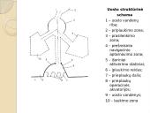Laivybos uostai 7 puslapis
