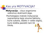 Verslininko darbo motyvacija 2 puslapis