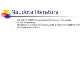 Verslininko darbo motyvacija 16 puslapis