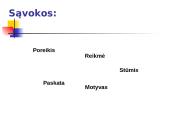 Verslininko darbo motyvacija 3 puslapis