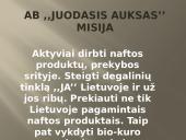 Verslo planas: prekyba naftos produktais "Juodasis Auksas" 2 puslapis