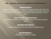 Verslo planas: prekyba naftos produktais "Juodasis Auksas" 11 puslapis