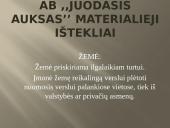 Verslo planas: prekyba naftos produktais "Juodasis Auksas" 14 puslapis