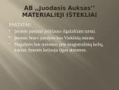 Verslo planas: prekyba naftos produktais "Juodasis Auksas" 15 puslapis