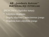 Verslo planas: prekyba naftos produktais "Juodasis Auksas" 16 puslapis