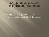 Verslo planas: prekyba naftos produktais "Juodasis Auksas" 17 puslapis