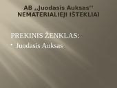 Verslo planas: prekyba naftos produktais "Juodasis Auksas" 19 puslapis