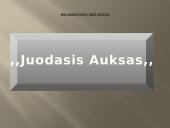 Verslo planas: prekyba naftos produktais "Juodasis Auksas" 20 puslapis