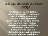 Verslo planas: prekyba naftos produktais "Juodasis Auksas" 3 puslapis